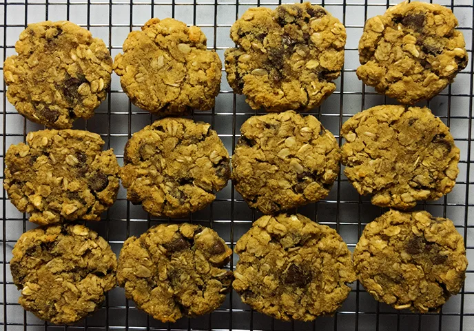coconut flour oatmeal cookies